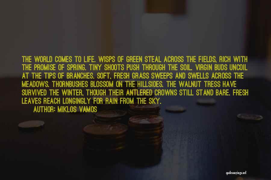 Miklos Vamos Quotes: The World Comes To Life. Wisps Of Green Steal Across The Fields, Rich With The Promise Of Spring. Tiny Shoots