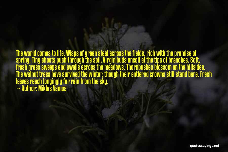 Miklos Vamos Quotes: The World Comes To Life. Wisps Of Green Steal Across The Fields, Rich With The Promise Of Spring. Tiny Shoots