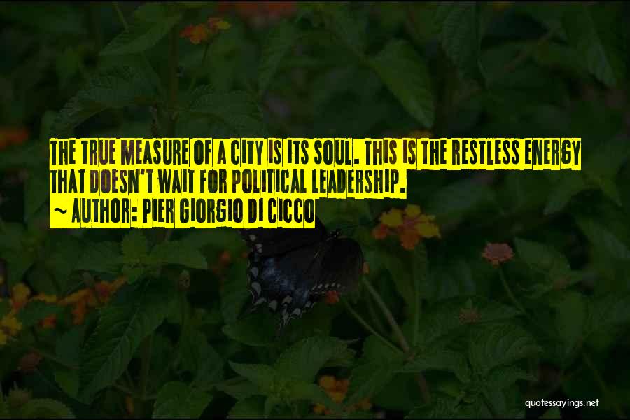 Pier Giorgio Di Cicco Quotes: The True Measure Of A City Is Its Soul. This Is The Restless Energy That Doesn't Wait For Political Leadership.