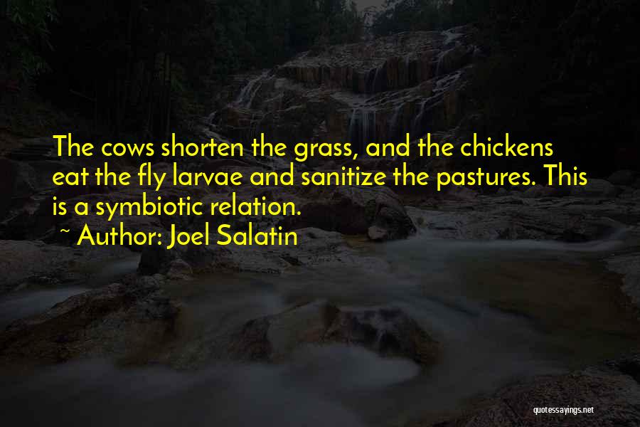 Joel Salatin Quotes: The Cows Shorten The Grass, And The Chickens Eat The Fly Larvae And Sanitize The Pastures. This Is A Symbiotic