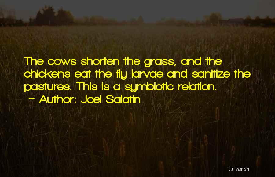 Joel Salatin Quotes: The Cows Shorten The Grass, And The Chickens Eat The Fly Larvae And Sanitize The Pastures. This Is A Symbiotic