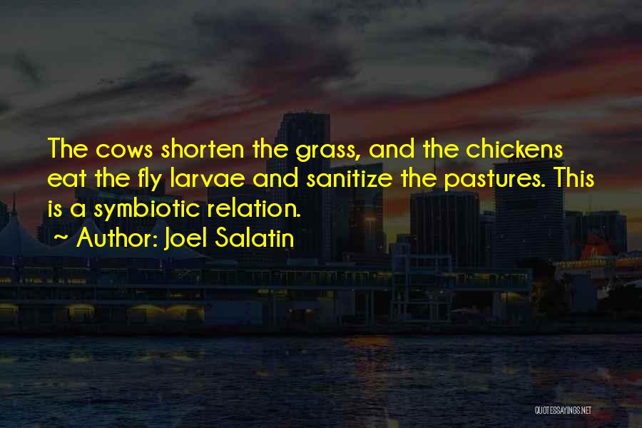 Joel Salatin Quotes: The Cows Shorten The Grass, And The Chickens Eat The Fly Larvae And Sanitize The Pastures. This Is A Symbiotic