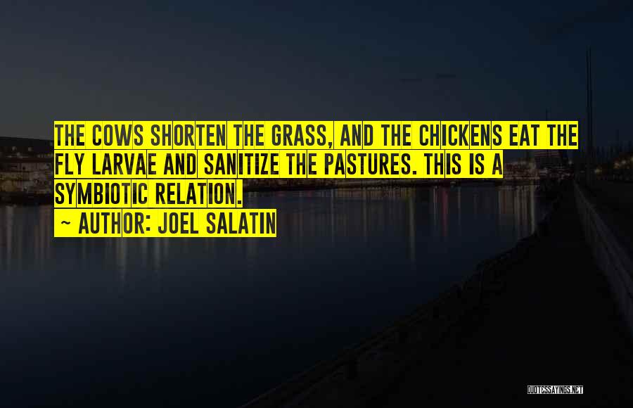 Joel Salatin Quotes: The Cows Shorten The Grass, And The Chickens Eat The Fly Larvae And Sanitize The Pastures. This Is A Symbiotic