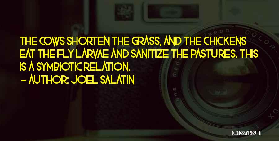 Joel Salatin Quotes: The Cows Shorten The Grass, And The Chickens Eat The Fly Larvae And Sanitize The Pastures. This Is A Symbiotic