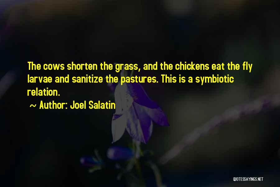 Joel Salatin Quotes: The Cows Shorten The Grass, And The Chickens Eat The Fly Larvae And Sanitize The Pastures. This Is A Symbiotic