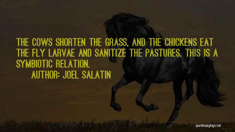 Joel Salatin Quotes: The Cows Shorten The Grass, And The Chickens Eat The Fly Larvae And Sanitize The Pastures. This Is A Symbiotic