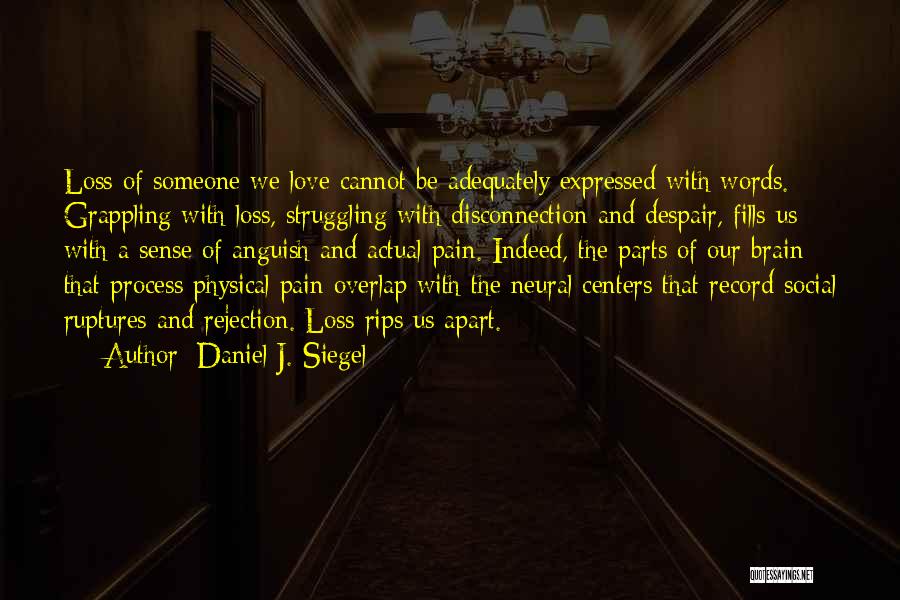 Daniel J. Siegel Quotes: Loss Of Someone We Love Cannot Be Adequately Expressed With Words. Grappling With Loss, Struggling With Disconnection And Despair, Fills