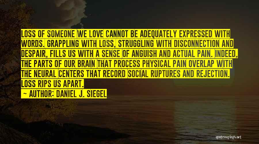 Daniel J. Siegel Quotes: Loss Of Someone We Love Cannot Be Adequately Expressed With Words. Grappling With Loss, Struggling With Disconnection And Despair, Fills