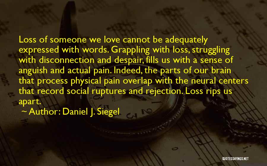 Daniel J. Siegel Quotes: Loss Of Someone We Love Cannot Be Adequately Expressed With Words. Grappling With Loss, Struggling With Disconnection And Despair, Fills