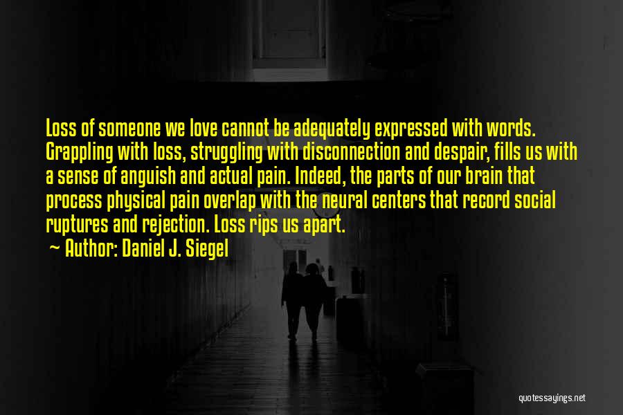 Daniel J. Siegel Quotes: Loss Of Someone We Love Cannot Be Adequately Expressed With Words. Grappling With Loss, Struggling With Disconnection And Despair, Fills