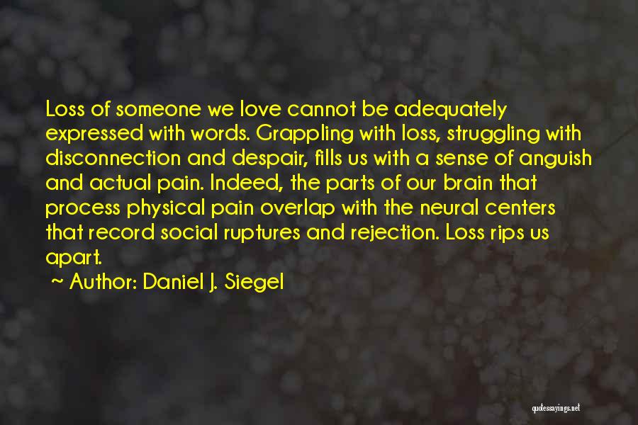 Daniel J. Siegel Quotes: Loss Of Someone We Love Cannot Be Adequately Expressed With Words. Grappling With Loss, Struggling With Disconnection And Despair, Fills