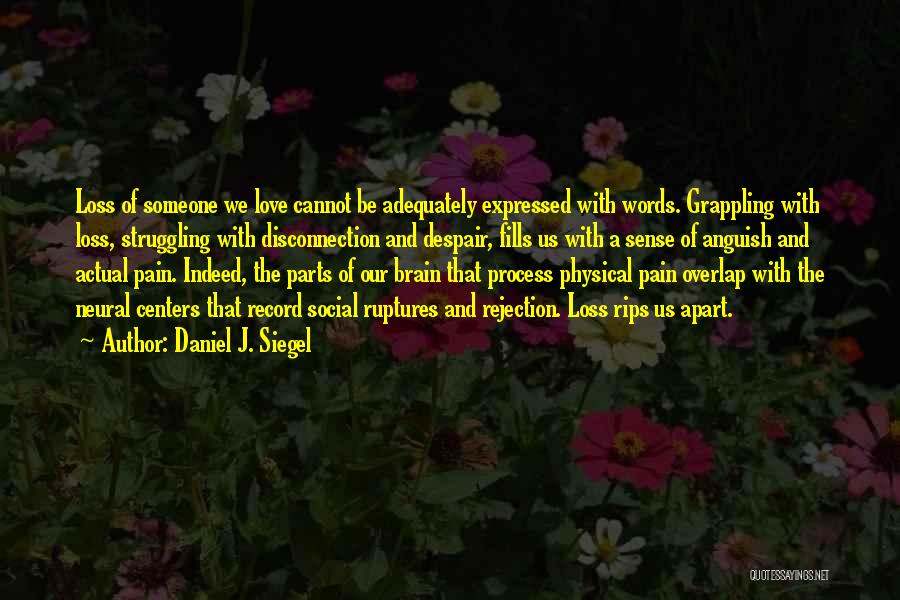 Daniel J. Siegel Quotes: Loss Of Someone We Love Cannot Be Adequately Expressed With Words. Grappling With Loss, Struggling With Disconnection And Despair, Fills