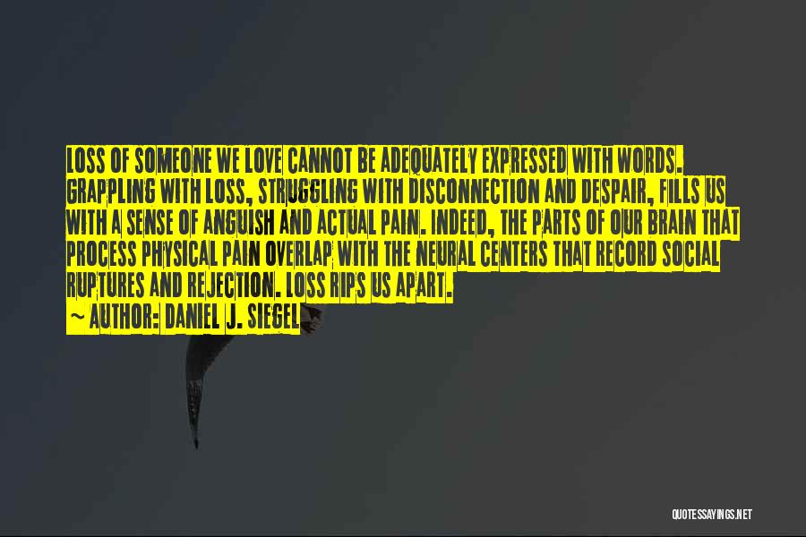 Daniel J. Siegel Quotes: Loss Of Someone We Love Cannot Be Adequately Expressed With Words. Grappling With Loss, Struggling With Disconnection And Despair, Fills