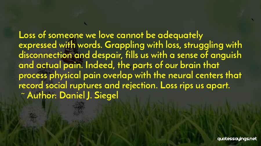 Daniel J. Siegel Quotes: Loss Of Someone We Love Cannot Be Adequately Expressed With Words. Grappling With Loss, Struggling With Disconnection And Despair, Fills