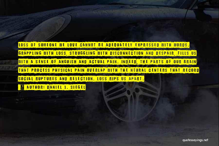 Daniel J. Siegel Quotes: Loss Of Someone We Love Cannot Be Adequately Expressed With Words. Grappling With Loss, Struggling With Disconnection And Despair, Fills
