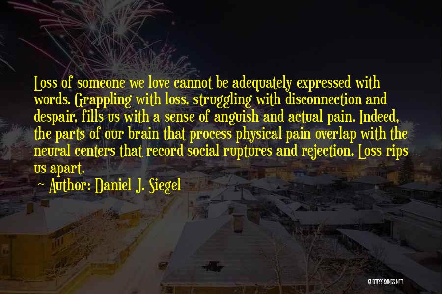 Daniel J. Siegel Quotes: Loss Of Someone We Love Cannot Be Adequately Expressed With Words. Grappling With Loss, Struggling With Disconnection And Despair, Fills