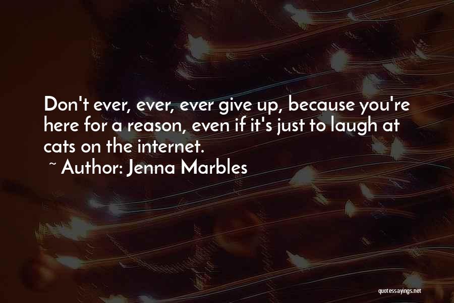 Jenna Marbles Quotes: Don't Ever, Ever, Ever Give Up, Because You're Here For A Reason, Even If It's Just To Laugh At Cats