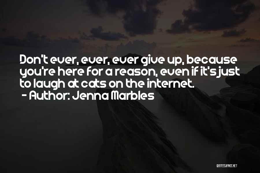 Jenna Marbles Quotes: Don't Ever, Ever, Ever Give Up, Because You're Here For A Reason, Even If It's Just To Laugh At Cats