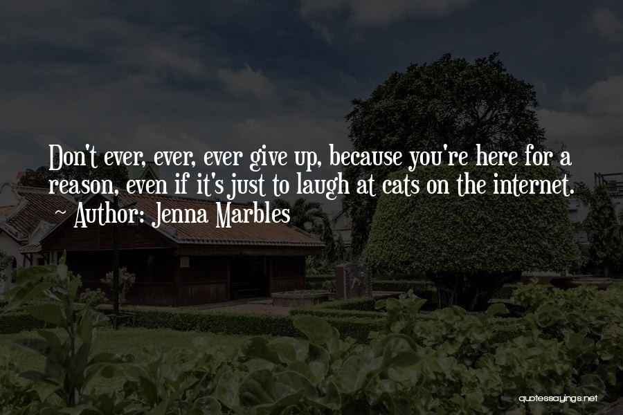 Jenna Marbles Quotes: Don't Ever, Ever, Ever Give Up, Because You're Here For A Reason, Even If It's Just To Laugh At Cats