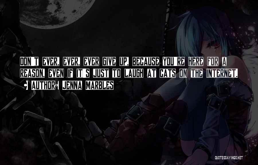 Jenna Marbles Quotes: Don't Ever, Ever, Ever Give Up, Because You're Here For A Reason, Even If It's Just To Laugh At Cats