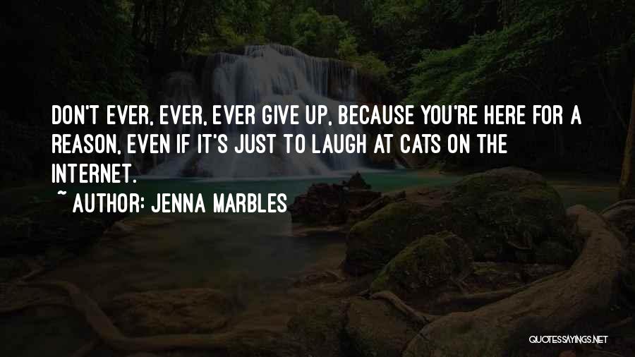 Jenna Marbles Quotes: Don't Ever, Ever, Ever Give Up, Because You're Here For A Reason, Even If It's Just To Laugh At Cats
