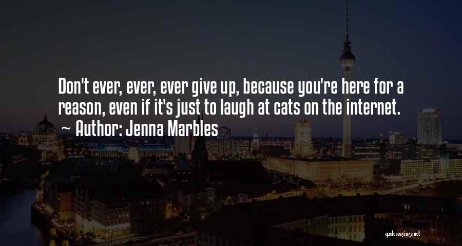 Jenna Marbles Quotes: Don't Ever, Ever, Ever Give Up, Because You're Here For A Reason, Even If It's Just To Laugh At Cats