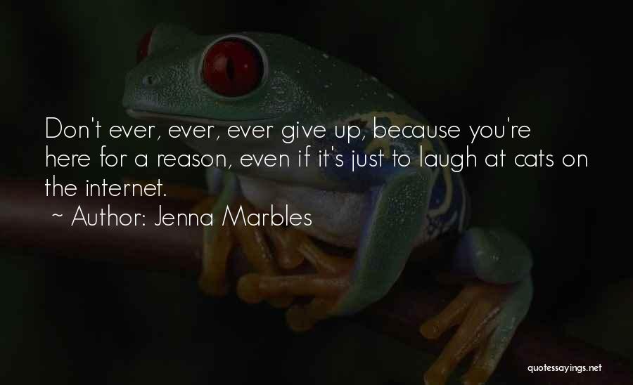 Jenna Marbles Quotes: Don't Ever, Ever, Ever Give Up, Because You're Here For A Reason, Even If It's Just To Laugh At Cats