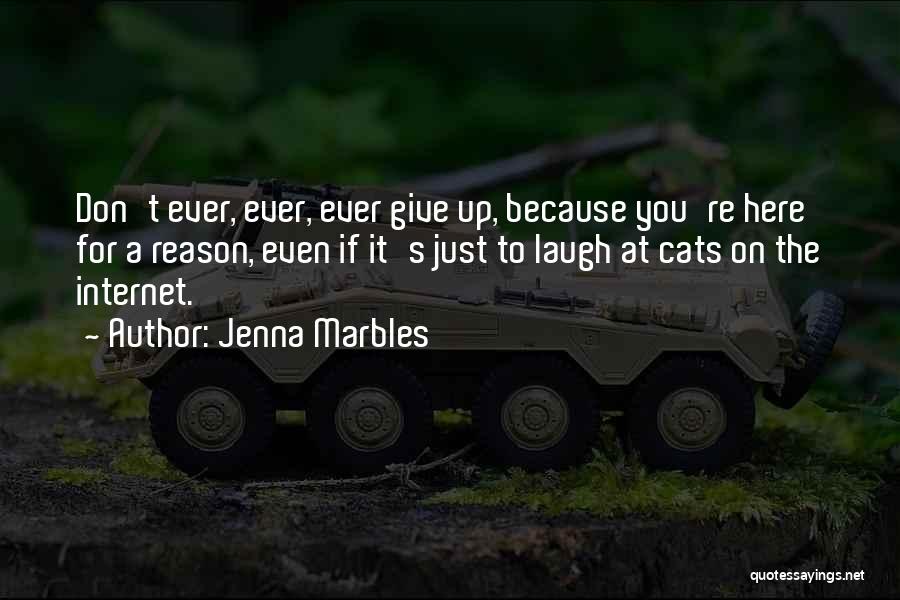 Jenna Marbles Quotes: Don't Ever, Ever, Ever Give Up, Because You're Here For A Reason, Even If It's Just To Laugh At Cats