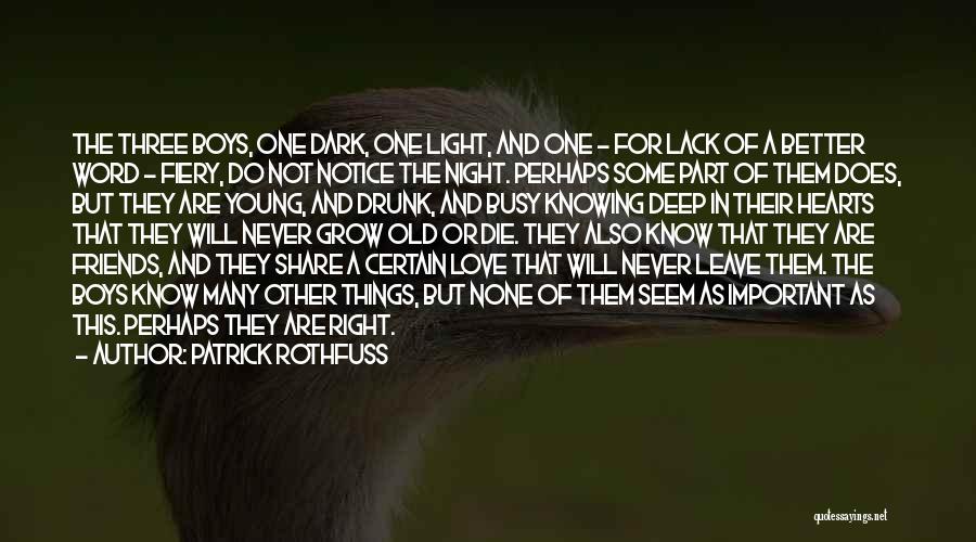 Patrick Rothfuss Quotes: The Three Boys, One Dark, One Light, And One - For Lack Of A Better Word - Fiery, Do Not