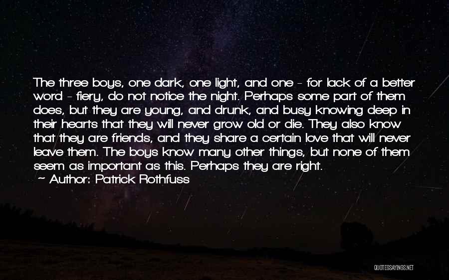 Patrick Rothfuss Quotes: The Three Boys, One Dark, One Light, And One - For Lack Of A Better Word - Fiery, Do Not