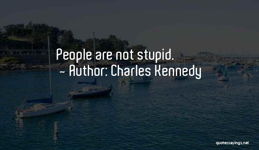 Charles Kennedy Quotes: People Are Not Stupid.