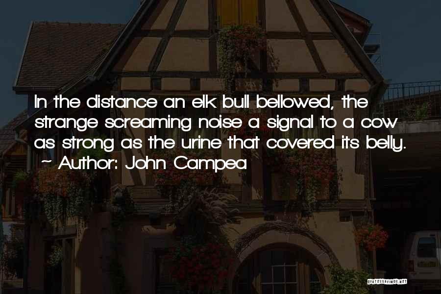 John Campea Quotes: In The Distance An Elk Bull Bellowed, The Strange Screaming Noise A Signal To A Cow As Strong As The