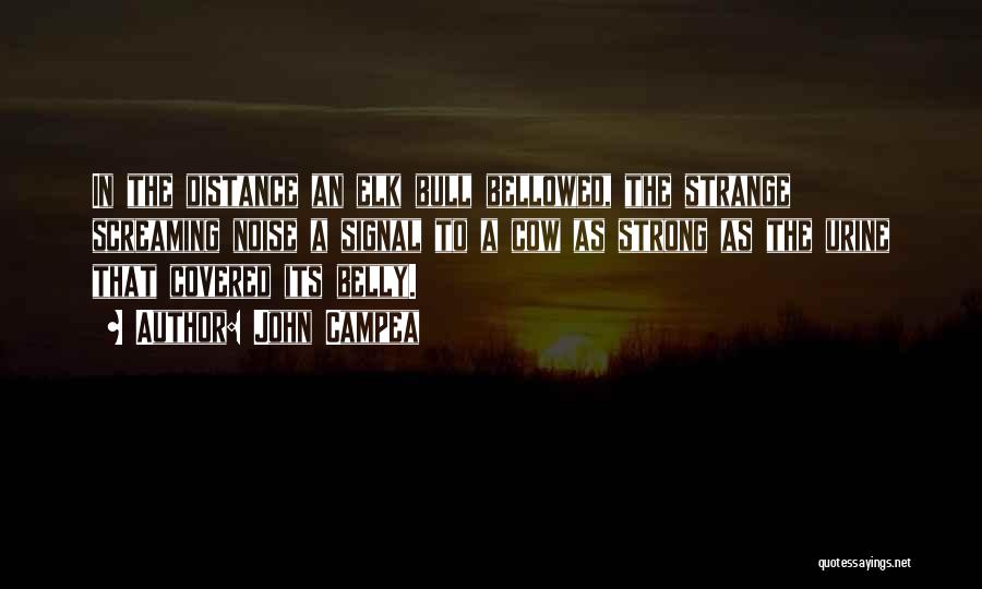 John Campea Quotes: In The Distance An Elk Bull Bellowed, The Strange Screaming Noise A Signal To A Cow As Strong As The