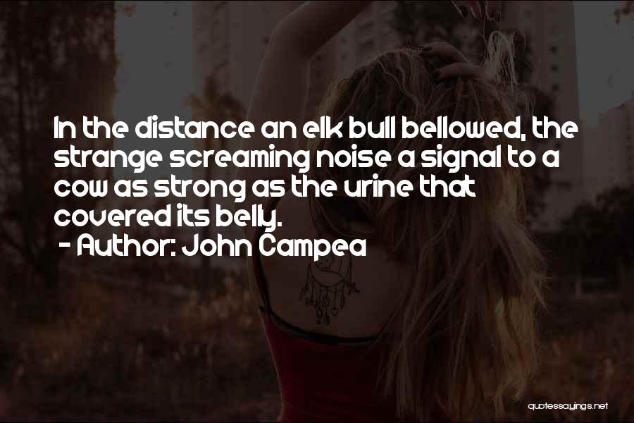John Campea Quotes: In The Distance An Elk Bull Bellowed, The Strange Screaming Noise A Signal To A Cow As Strong As The