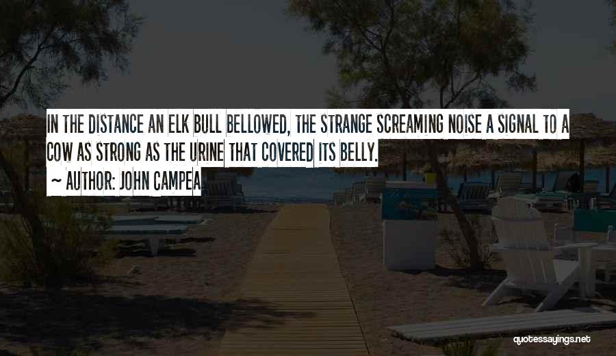 John Campea Quotes: In The Distance An Elk Bull Bellowed, The Strange Screaming Noise A Signal To A Cow As Strong As The