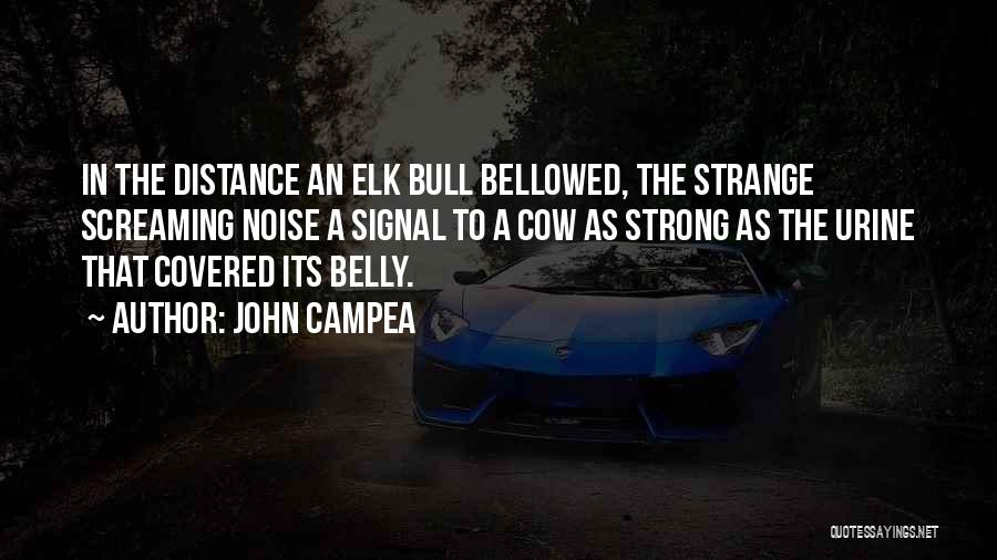 John Campea Quotes: In The Distance An Elk Bull Bellowed, The Strange Screaming Noise A Signal To A Cow As Strong As The