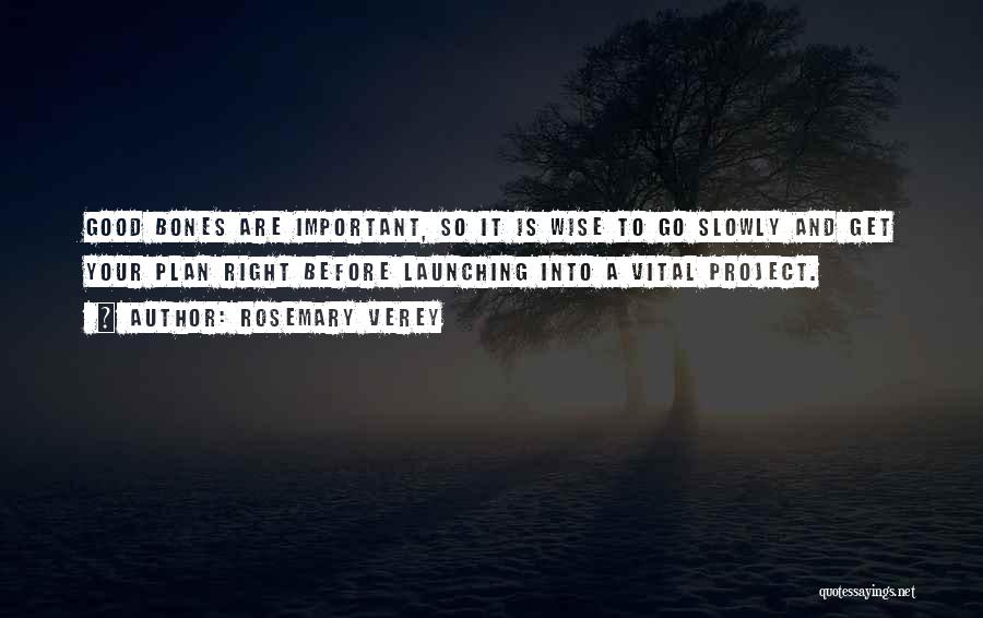 Rosemary Verey Quotes: Good Bones Are Important, So It Is Wise To Go Slowly And Get Your Plan Right Before Launching Into A