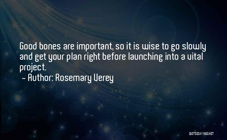 Rosemary Verey Quotes: Good Bones Are Important, So It Is Wise To Go Slowly And Get Your Plan Right Before Launching Into A