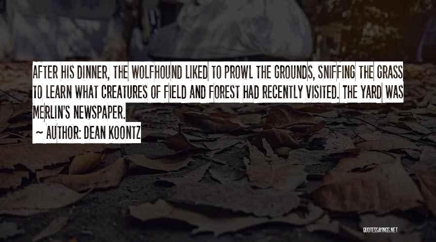 Dean Koontz Quotes: After His Dinner, The Wolfhound Liked To Prowl The Grounds, Sniffing The Grass To Learn What Creatures Of Field And