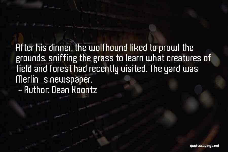 Dean Koontz Quotes: After His Dinner, The Wolfhound Liked To Prowl The Grounds, Sniffing The Grass To Learn What Creatures Of Field And