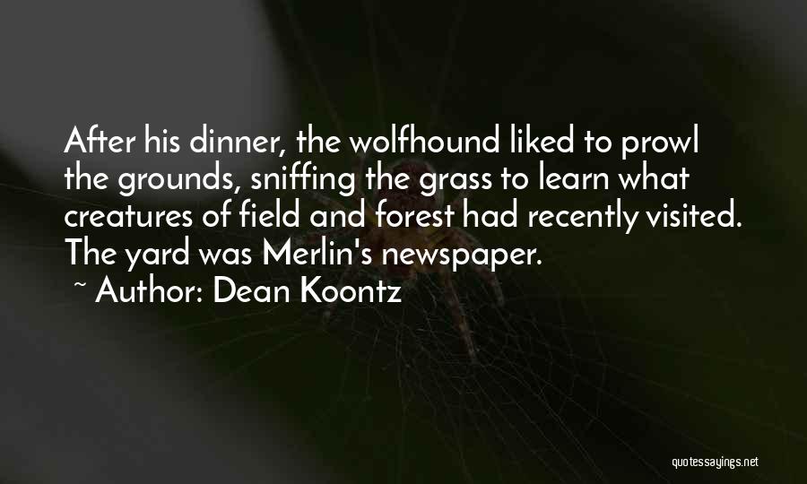Dean Koontz Quotes: After His Dinner, The Wolfhound Liked To Prowl The Grounds, Sniffing The Grass To Learn What Creatures Of Field And
