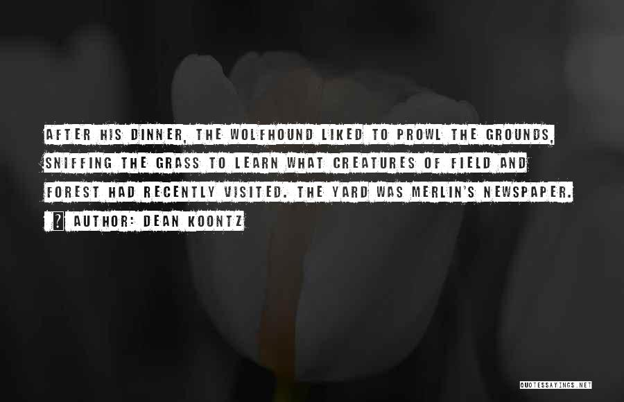 Dean Koontz Quotes: After His Dinner, The Wolfhound Liked To Prowl The Grounds, Sniffing The Grass To Learn What Creatures Of Field And