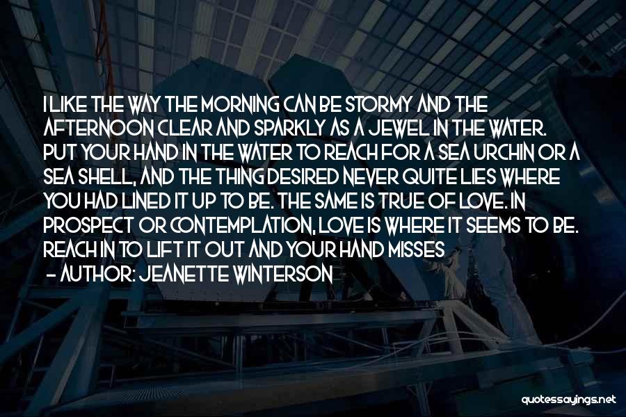 Jeanette Winterson Quotes: I Like The Way The Morning Can Be Stormy And The Afternoon Clear And Sparkly As A Jewel In The