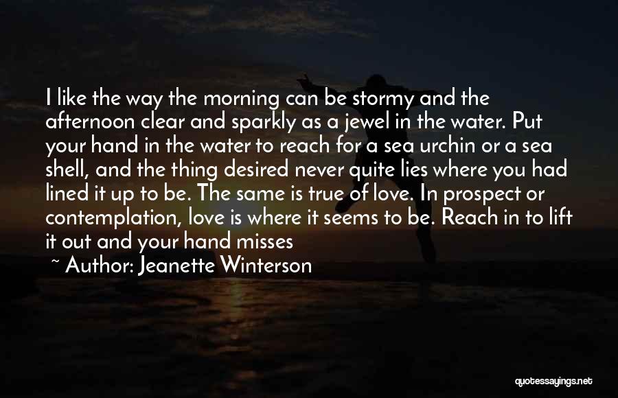 Jeanette Winterson Quotes: I Like The Way The Morning Can Be Stormy And The Afternoon Clear And Sparkly As A Jewel In The