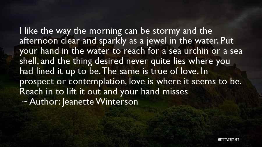 Jeanette Winterson Quotes: I Like The Way The Morning Can Be Stormy And The Afternoon Clear And Sparkly As A Jewel In The