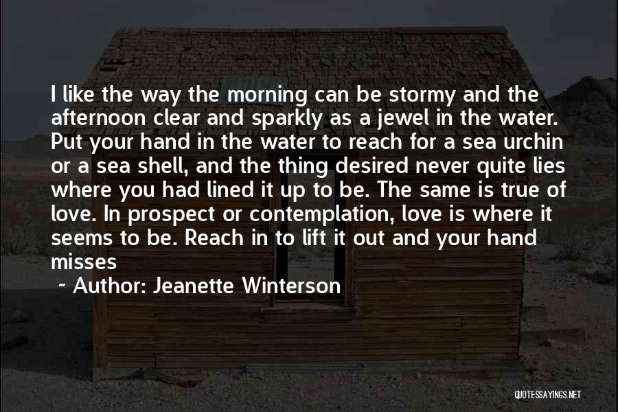 Jeanette Winterson Quotes: I Like The Way The Morning Can Be Stormy And The Afternoon Clear And Sparkly As A Jewel In The