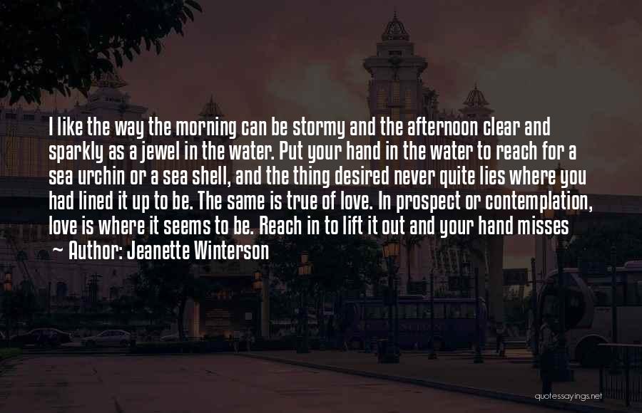Jeanette Winterson Quotes: I Like The Way The Morning Can Be Stormy And The Afternoon Clear And Sparkly As A Jewel In The