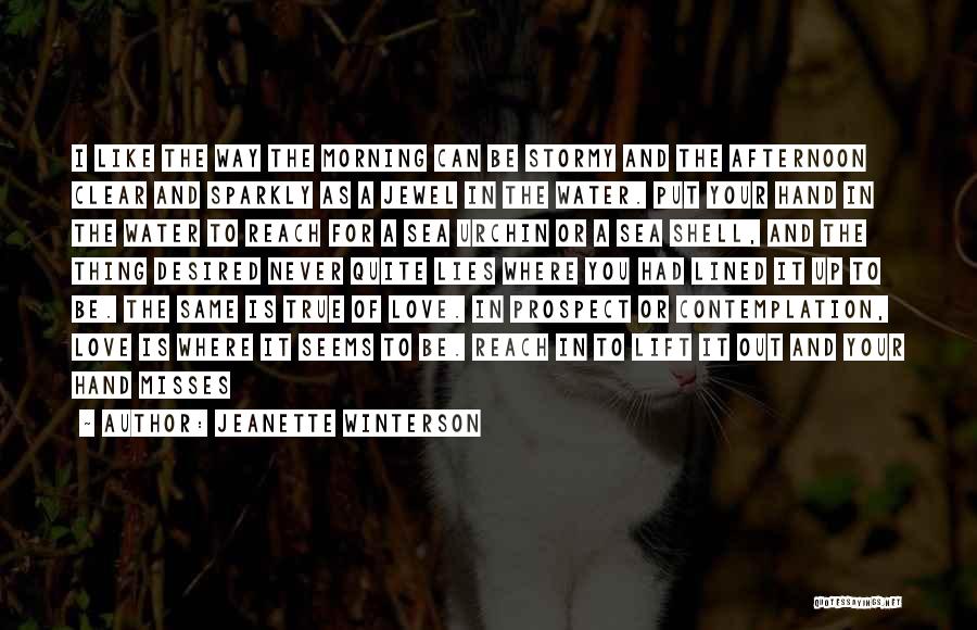 Jeanette Winterson Quotes: I Like The Way The Morning Can Be Stormy And The Afternoon Clear And Sparkly As A Jewel In The