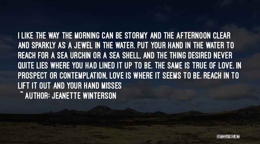 Jeanette Winterson Quotes: I Like The Way The Morning Can Be Stormy And The Afternoon Clear And Sparkly As A Jewel In The