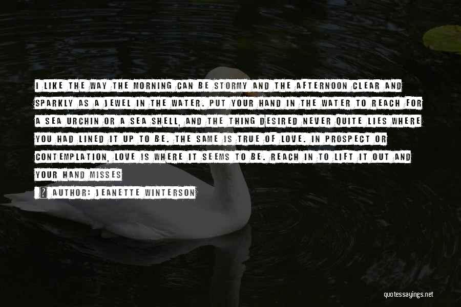 Jeanette Winterson Quotes: I Like The Way The Morning Can Be Stormy And The Afternoon Clear And Sparkly As A Jewel In The